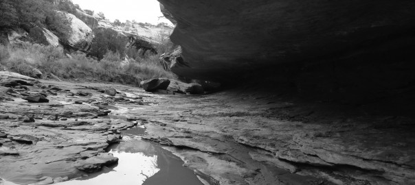 The Kane Gulch Experience