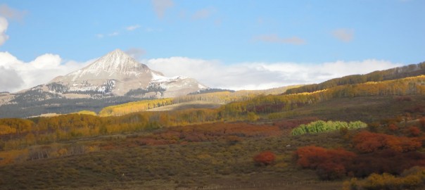 I didn’t know white was a fall color?