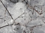 Ice Crystals