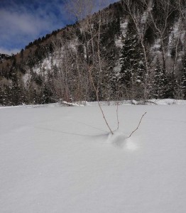 La Plata Canyon